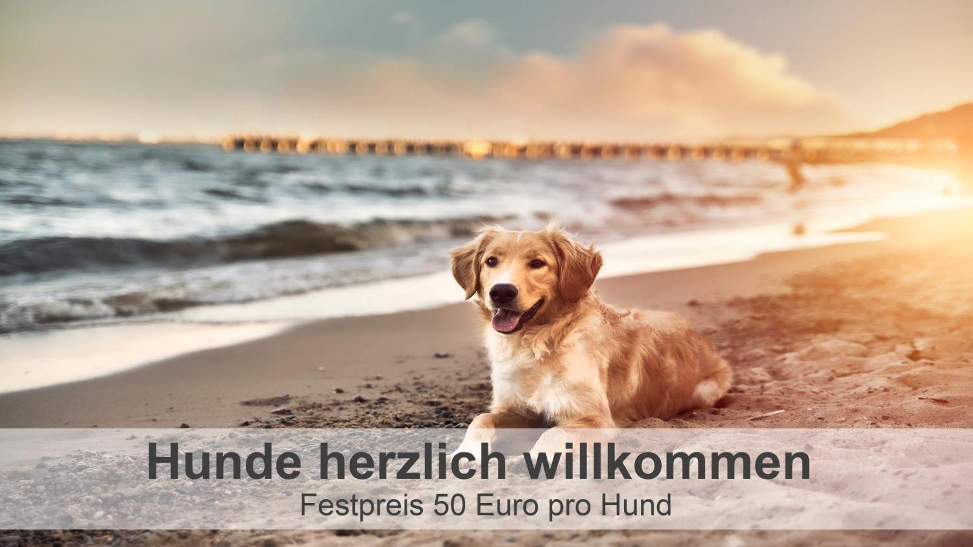 Gulfhof-Ferien Briese Apartment Grossheide ภายนอก รูปภาพ